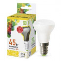 Лампа светодиодная ASD LED-R39-standart 5Вт Е14