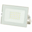 купить пермь Прожектор светодиодный ЭРА LPR-031-0-65K-020 белый