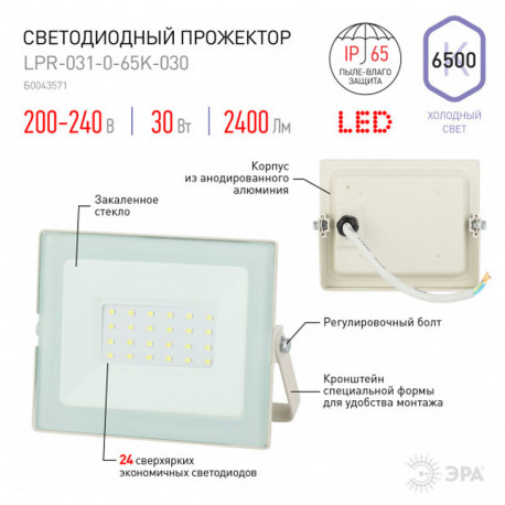 купить пермь Прожектор светодиодный ЭРА LPR-031-0-65K-030 белый